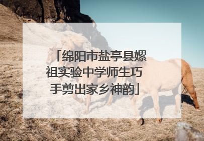 绵阳市盐亭县嫘祖实验中学师生巧手剪出家乡神韵