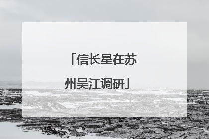 信长星在苏州吴江调研