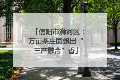 信阳市浉河区：万亩茶庄园飘出“三产融合”香