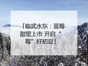 临武水东：蓝莓甜蜜上市 开启“莓”好初夏