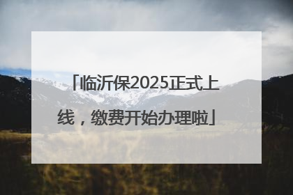 临沂保2025正式上线，缴费开始办理啦