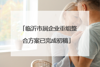 临沂市属企业重组整合方案已完成初稿