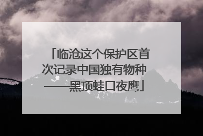 临沧这个保护区首次记录中国独有物种——黑顶蛙口夜鹰