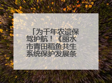 为千年农遗保驾护航！《丽水市青田稻鱼共生系统保护发展条例》正式施行