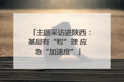 主题采访进陕西：基层有“智”理 应急“加速度”