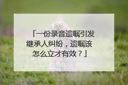 一份录音遗嘱引发继承人纠纷，遗嘱该怎么立才有效？