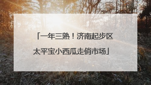 一年三熟！济南起步区太平宝小西瓜走俏市场