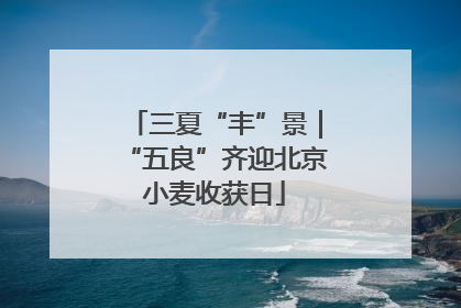 三夏“丰”景｜“五良”齐迎北京小麦收获日