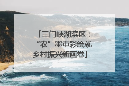 三门峡湖滨区:“农”墨重彩绘就乡村振兴新画卷
