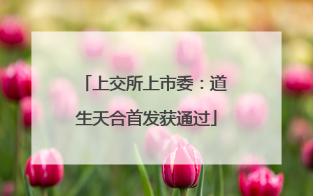 上交所上市委：道生天合首发获通过