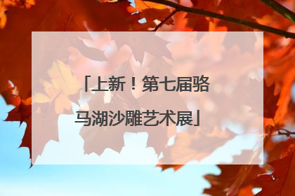 上新！第七届骆马湖沙雕艺术展