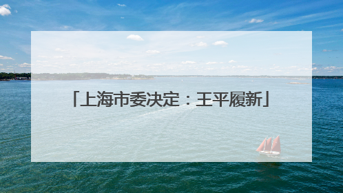 上海市委决定：王平履新