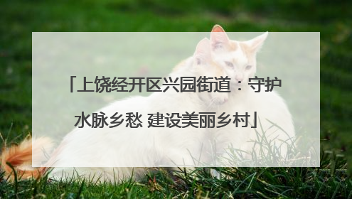 上饶经开区兴园街道：守护水脉乡愁 建设美丽乡村