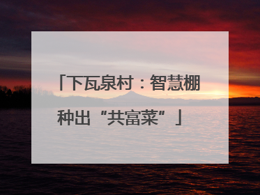 下瓦泉村：智慧棚种出“共富菜”