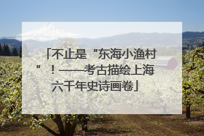 不止是“东海小渔村”！——考古描绘上海六千年史诗画卷