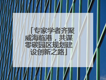专家学者齐聚威海临港，共谋零碳园区规划建设创新之路