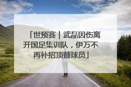 世预赛｜武磊因伤离开国足集训队，伊万不再补招顶替球员
