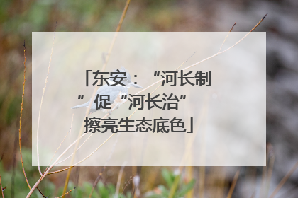 东安：“河长制”促“河长治” 擦亮生态底色