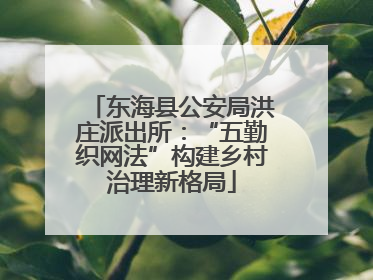 东海县公安局洪庄派出所：“五勤织网法”构建乡村治理新格局