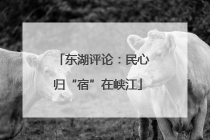东湖评论：民心归“宿”在峡江
