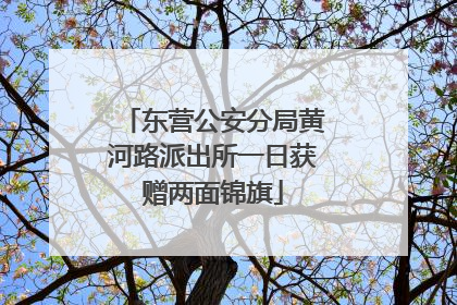 东营公安分局黄河路派出所一日获赠两面锦旗