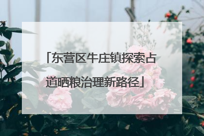 东营区牛庄镇探索占道晒粮治理新路径