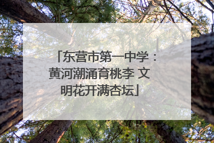 东营市第一中学：黄河潮涌育桃李 文明花开满杏坛