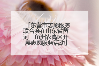 东营市志愿服务联合会在山东省黄河三角洲农高区开展志愿服务活动