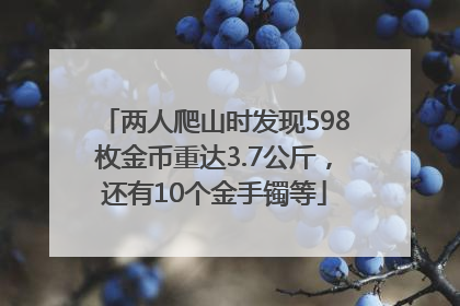 两人爬山时发现598枚金币重达3.7公斤，还有10个金手镯等