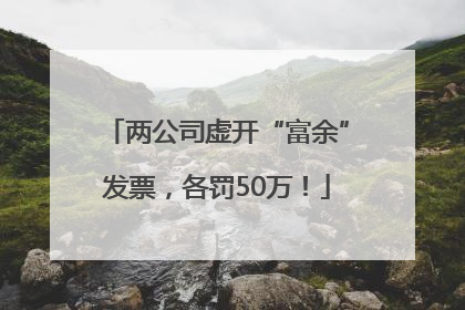 两公司虚开“富余”发票，各罚50万！