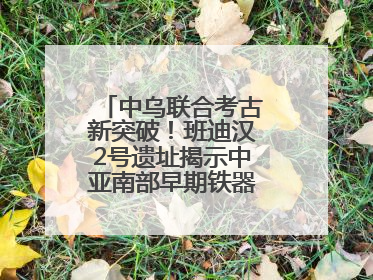 中乌联合考古新突破！班迪汉2号遗址揭示中亚南部早期铁器时代城邦文明