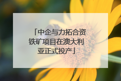 中企与力拓合资铁矿项目在澳大利亚正式投产