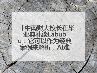 中南财大校长在毕业典礼谈Labubu：它可以作为经典案例来解析，AI难以给出答案
