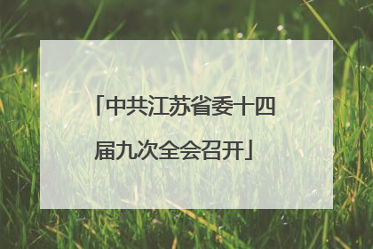 中共江苏省委十四届九次全会召开