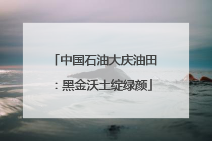 中国石油大庆油田：黑金沃土绽绿颜