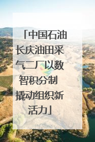 中国石油长庆油田采气二厂以数智积分制 撬动组织新活力