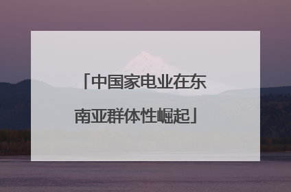 中国家电业在东南亚群体性崛起