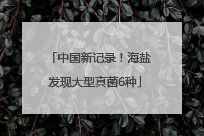 中国新记录！海盐发现大型真菌6种