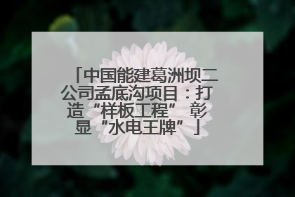 中国能建葛洲坝二公司孟底沟项目：打造“样板工程” 彰显“水电王牌”