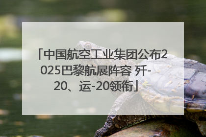 中国航空工业集团公布2025巴黎航展阵容 歼-20、运-20领衔