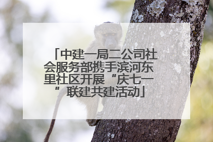 中建一局二公司社会服务部携手滨河东里社区开展“庆七一”联建共建活动