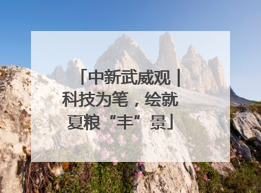 中新武威观｜科技为笔，绘就夏粮“丰”景