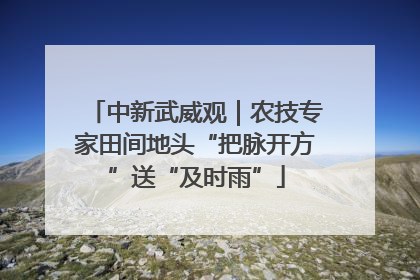 中新武威观｜农技专家田间地头“把脉开方”送“及时雨”