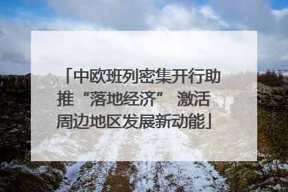 中欧班列密集开行助推“落地经济” 激活周边地区发展新动能