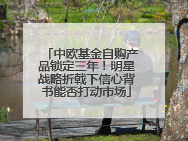 中欧基金自购产品锁定三年！明星战略折戟下信心背书能否打动市场