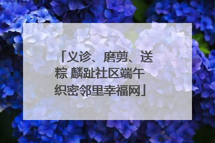 义诊、磨剪、送粽 麟趾社区端午织密邻里幸福网