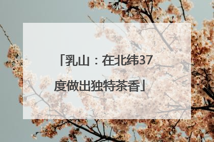 乳山：在北纬37度做出独特茶香