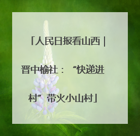 人民日报看山西｜晋中榆社：“快递进村”带火小山村