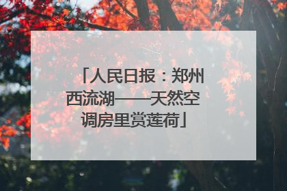 人民日报：郑州西流湖——天然空调房里赏莲荷