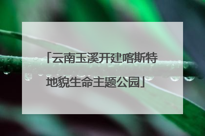 云南玉溪开建喀斯特地貌生命主题公园